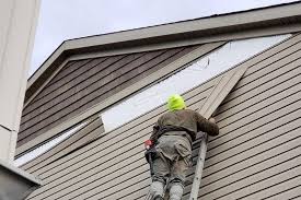 Best Custom Trim and Detailing for Siding  in Despard, WV